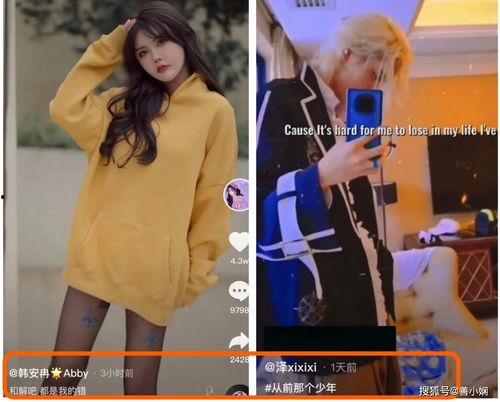 韩安冉爆料婆家视频在线观看,揭秘豪门背后的真实生活  第2张