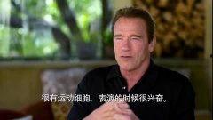 阿诺最新爆料视频播放,精彩瞬间与幕后故事大公开